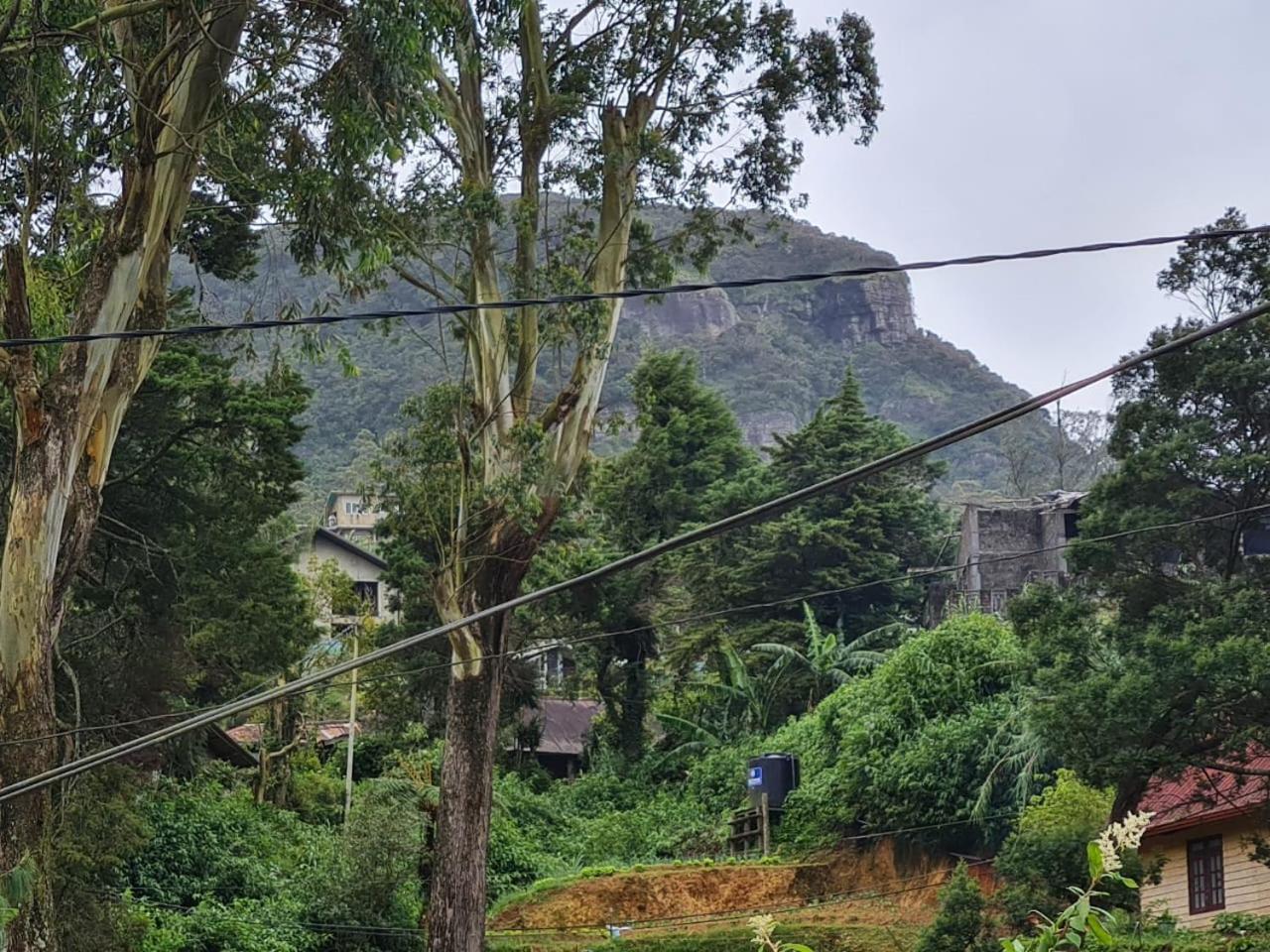 Sasru Holiday Home Nuwara Eliya Bagian luar foto